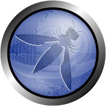 Owasp logo normal.jpg