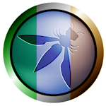 Owasp logo ireland small.jpg