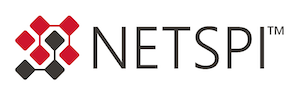 NetSPI 2019 logo.png