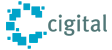 Cigital OWASP.GIF