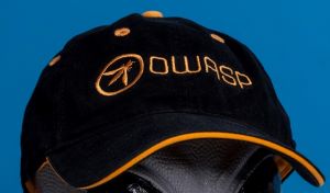 OWASP BallCap sm.jpg