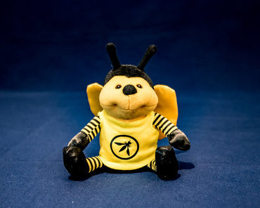 Merchandise - Bee Beanies.jpg