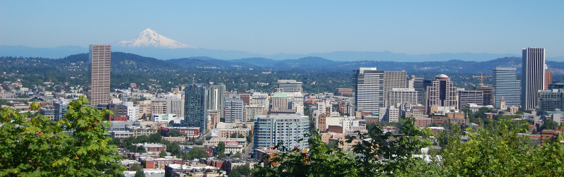 Portland and Mt Hood.jpg