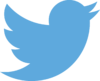 Twitter logo.png