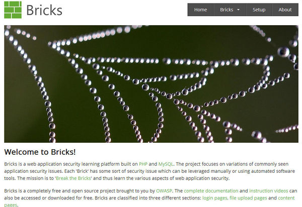 OWASP Bricks Barak